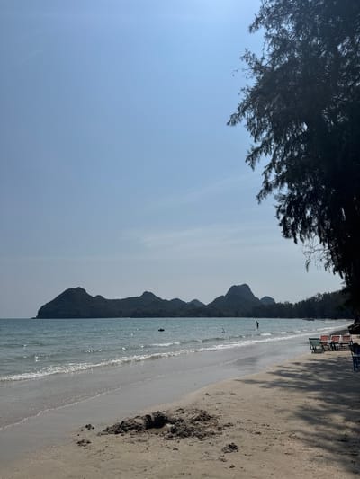 A bright, serene beach scene. Calm, shallow waves lap against a sandy shore. A dark silhouette of mountains is visible along the shoreline, contrasting with the clear sky. A few people are in the water. Dark tree branches hang into the frame from the upper left, casting shadows on the sand. Beach chairs are visible in the distance on the upper right.