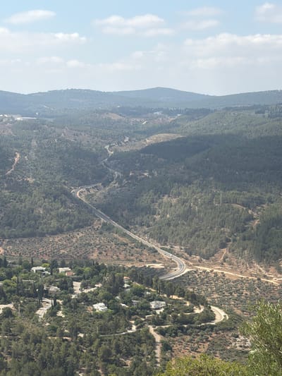 This is a high-angle, aerial, vertical shot of a mountainous, green landscape. The scene is dominated by rolling hills covered in dense trees, with a winding asphalt road cutting through the valley. In the foreground, on the right, an olive tree branch with green leaves extends into the frame. Scattered throughout the landscape are residential homes, characterized by white and beige structures, nestled among the trees and on the hillsides. The road appears to be a highway, with a few vehicles visible. The sky above is a pale blue, with scattered white clouds. The overall impression is one of a rural, scenic environment, likely in the Misgav Regional Council area of Israel, known for its hilly terrain and scattered settlements.