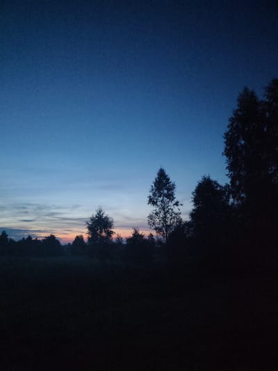 This is a photograph of a twilight landscape in Talitsa, Russia. The sky is a deep blue at the top, gradually transitioning to lighter blues and then to a soft orange and pink hue near the horizon. Silhouetted against this sky are the dark shapes of trees and a dense line of foliage across the mid-ground. In the foreground, the land is very dark, appearing to be a field or open area covered in vegetation. The overall impression is one of a serene, natural environment at dusk.