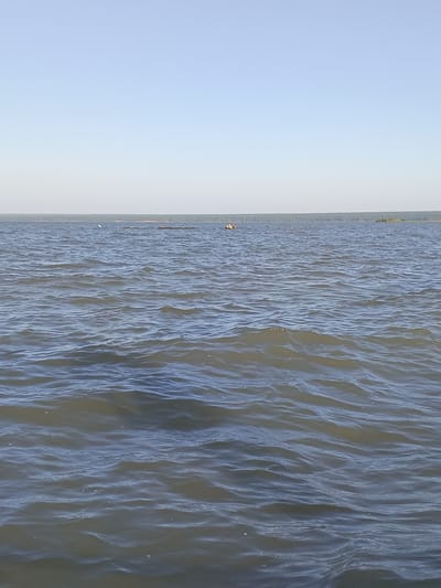 The image depicts a wide expanse of rippling water under a clear, pale blue sky. A distant shoreline is visible, densely populated with trees, suggesting a natural or rural setting. In the foreground, the water's surface is textured with numerous small waves, creating a dynamic and slightly choppy appearance. A few distant objects are present on the water, including what appears to be a bird in flight and some floating debris or small structures. The lighting suggests it is daytime, possibly late morning or early afternoon, with diffused sunlight creating subtle highlights on the water.