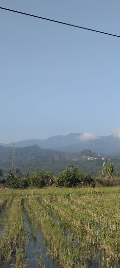 In the city of Bateiiliek, Indonesia, the image depicts a serene natural landscape under a clear blue sky. In the foreground, a field of harvested rice stalks is partially submerged in water, creating a textured pattern of green and straw-colored hues. Beyond the field, a line of lush green vegetation with scattered trees marks the transition to a series of rolling hills. These hills are densely covered in a verdant forest, their slopes showing variations in shade and texture. Further in the distance, imposing mountains rise, their peaks softened by a hazy atmospheric effect and partially obscured by wispy clouds. A tall, metallic power pylon stands prominently on the left side of the mid-ground, hinting at the presence of infrastructure within this otherwise natural setting. The overall scene is one of rural tranquility, characterized by the interplay of cultivated land, forested hills, and distant mountains.