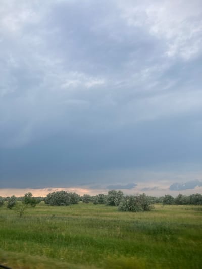 This is a landscape photograph taken outdoors, oriented vertically. The image features a vast sky on the left, filled with light gray and white clouds, suggesting an overcast or partly cloudy day. The right side of the image depicts a grassy field with a line of trees running along its edge. The grass appears green and well-maintained, with some areas showing subtle variations in shade due to lighting or texture. The trees are leafy and appear to be deciduous, with dense foliage. A hint of a lighter sky, possibly indicating sunset or sunrise, can be seen behind the trees on the far right. The overall impression is one of a natural, rural or semi-rural setting. There are no people or man-made objects clearly visible. The time of day is likely late afternoon or early evening given the soft light. The weather appears calm. No text is visible in the image.