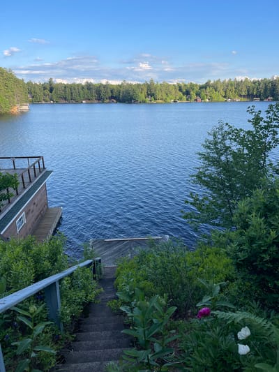 The image depicts a serene lakefront scene in Brantingham, United States. In the foreground, a set of concrete stairs with a weathered blue railing leads down towards the water. Lush green foliage and a few flowering plants, including a pink peony and two white peonies, flank the stairs.
Adjacent to the stairs is a wooden dock extending into the calm, blue water of the lake. To the left of the dock and stairs is a multi-level structure, likely a boathouse or lakeside dwelling, with a wooden deck overlooking the water. The building has a brown wooden exterior and a green roof.
The lake itself stretches out to the horizon, with gentle ripples on its surface. Along the far shore, a dense line of evergreen trees forms a natural backdrop. Dotted among the trees are several small houses and boathouses, suggesting a residential or vacation community. The sky above is a bright blue with scattered white clouds. The overall impression is one of tranquility and natural beauty, typical of a lakeside setting.