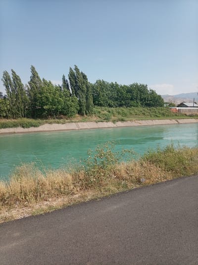 The media file captures a serene landscape scene, likely in Azadbash, Uzbekistan. The primary subjects are a wide canal filled with vibrant turquoise water and a dense line of trees bordering its far bank. The canal is lined with concrete embankments, suggesting it's an artificial waterway, possibly for irrigation or transportation.

On the left side of the canal, tall, slender trees with sparse foliage are leaning against the wind, creating a dynamic visual element. Behind them, a thicker line of lush green trees forms a solid backdrop, their leaves a rich, deep green. The vegetation on the canal's near bank is drier and more golden-brown, consisting of tall grasses and some scattered leafy plants, indicating a warm, possibly arid climate. A dark asphalt path runs along the immediate foreground, suggesting this is a roadside or a path alongside the canal.

The scene is bathed in the bright light of a clear day, with a pale blue sky dominating the upper portion of the image. There are no people or specific objects visible that would indicate a particular activity or event. The overall mood is tranquil and natural, emphasizing the beauty of the landscape. The time of day appears to be midday or early afternoon due to the strong, even lighting and the absence of long shadows. In the distance, faint outlines of hills or mountains can be seen, along with some indistinct structures, hinting at a rural or semi-urban setting. There is no visible text in the media file.