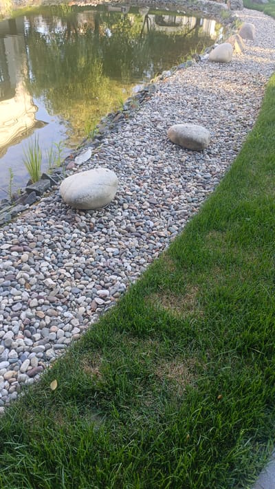 The image depicts a tranquil waterscape with a neatly arranged pathway. In the foreground, a lush green lawn borders a winding path covered in smooth, light-colored pebbles. Several large, rounded stones are strategically placed along the edge of the pathway, adding a naturalistic touch. Beyond the path lies a calm body of water, its surface reflecting the surrounding trees and a building with light-colored walls, suggesting a sunny day. Tall grasses and dark rocks line the edge of the water, creating a natural transition from the water to the landscaped area. The scene is set in Nikolino, Russia, and the overall impression is one of peaceful outdoor ambiance. There are no people or visible text in the image.