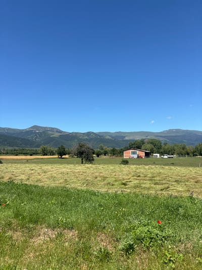 The image depicts a rural landscape under a clear blue sky. In the foreground, there is a field of green grass with some dried hay scattered throughout. Further back, a large field of dried, yellow grass is visible, suggesting recent harvesting. In the middle ground, a red-brick building with a metal roof stands adjacent to a small red tractor and a white pickup truck. A line of trees borders the fields, and beyond them, rolling hills covered in dark green trees form a backdrop. Distant, hazy mountains complete the scenery. The location is Chelopech, Bulgaria.