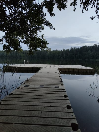 A wooden boardwalk extends into a calm lake, its surface reflecting the overcast sky and a dense forest lining the opposite shore. The boardwalk is constructed of modular, interlocking plastic sections, giving it a somewhat utilitarian appearance. Several metal rungs are visible along the edge of the boardwalk, suggesting it may lead to a swimming area or be used for boat access. To the left, the branches of a leafy tree frame the scene, with dark green foliage silhouetted against the pale sky. The water is dark and still, with a few reeds or tall grasses emerging from its surface near the boardwalk. The overall impression is one of a quiet, natural setting, possibly a recreational area by a lake. The time of day appears to be overcast, likely daytime, given the light conditions. The location is identified as Kichier, Russia. There is no text visible in the image.