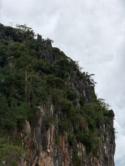 The image shows a steep, rocky cliff face overgrown with lush green vegetation, including trees, bushes, and vines. The rocks are a mix of dark gray and lighter brown, with visible layers and streaks. The sky above is overcast with a dull gray hue, suggesting cloudy weather. The cliff extends upwards and to the right of the frame, with its peak covered in dense foliage. The overall impression is of a natural, rugged landscape with a sense of height and density of plant life. The location is identified as Muang Pak Ou, Laos, a region known for its limestone karst formations and caves. There are no people or discernible man-made objects in the image.