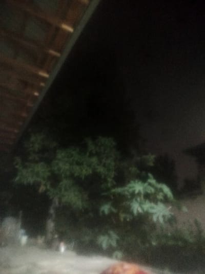 This is a low-light, blurry photograph taken outdoors at night. The scene is dominated by dark shadows and indistinct greenery, suggesting foliage of trees or bushes. In the upper left quadrant, a structure with horizontal wooden beams is visible, partially obscuring the dark night sky. There are some faint, blurry shapes in the middle ground, possibly figures or objects, but they are too indistinct to identify. The ground in the foreground appears to be a rough surface, possibly dirt or gravel. The overall impression is one of low visibility and a potentially rural or natural setting. The time of day is clearly night due to the darkness and lack of direct light. There are no visible text elements in the image.
