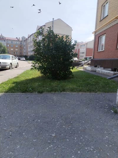 In the city of Troitskoye, Russia, this image captures a sunlit street scene. In the foreground, a section of grey asphalt road is visible, transitioning to a strip of green grass with a scattered pattern of shadows. Beyond the grass, a paved walkway borders a row of tall, multi-story apartment buildings, characterized by their brick and light-colored facades. Several cars, including a white sedan and a dark SUV, are parked along the street. A large, leafy green bush stands prominently in the middle ground, casting a distinct shadow on the grass. In the sky above, several birds are in flight. The overall environment suggests a residential urban area on a clear day.
