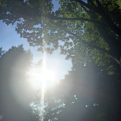 The image is a low-angle shot looking up through a canopy of green leaves and tree branches towards a bright blue sky. The sun is visible, casting strong rays and lens flare across the frame, particularly in the lower left quadrant. Some of the leaves are backlit by the sun, appearing translucent. The scene is outdoors, with natural lighting. The location in The Municipal District of Adare—Rathkeale, Ireland, suggests a temperate climate with lush vegetation. There are no people or man-made objects clearly visible in the image, besides what might be a small, indistinct object hanging from a branch in the upper right. The overall impression is one of natural light filtering through foliage.