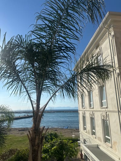 The image depicts a palm tree with fronds obscuring a partial view of a light-colored building and a coastal scene. The building has ornate architectural details and several windows. Beyond the palm tree and building is a sandy beach, the sea, and distant hills. The sky is clear and blue. The building is the Palazzo Dogana in Agropoli, Italy, seen from a low angle. There are no people visible in the image.