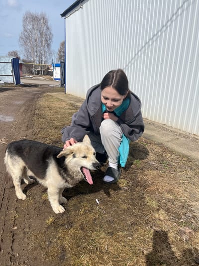 The image depicts a young woman interacting with a dog in an outdoor setting. The woman, with dark hair pulled back, is crouching down, wearing a gray hooded sweatshirt over a turquoise shirt, gray sweatpants, and black slide sandals with white socks. She is smiling and appears to be petting the dog. The dog is lying on the ground, panting with its tongue out. The dog is primarily black with white and beige markings. The ground is a mix of dirt, mud, and sparse brown grass. In the background, there is a corrugated metal building. The setting appears to be in a rural area. The image is taken in daylight. Based on the metadata, the image was taken in Норья, Russia.