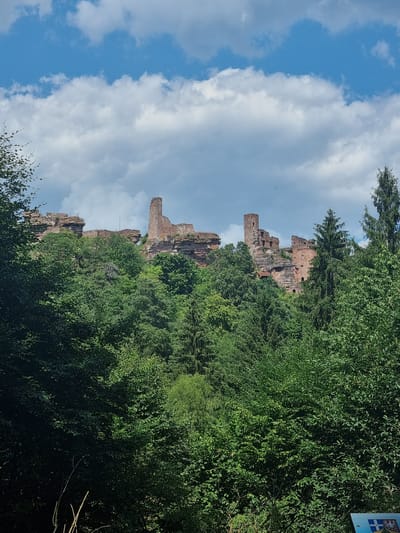 This media file depicts the ruins of a castle perched on a rocky outcrop, partially obscured by lush green foliage. The castle's weathered stone walls and crumbling towers suggest a historical structure with a long past. The surrounding trees are dense and vibrant, indicating a natural, possibly wooded, environment. In the background, a blue sky with scattered white clouds suggests a clear and pleasant day, likely during daylight hours. The overall scene evokes a sense of history and nature intertwined.
The image is oriented vertically, with the castle ruins appearing in the upper left portion of the frame. The sky dominates the left side, showcasing a dynamic play of light and shadow on the clouds. The trees fill the right and lower portions of the image, creating a natural frame for the castle. There are no visible people or specific objects other than the castle ruins and the natural elements. The activity is static, focusing on the static presence of the ruins and the landscape.
Notable details include the textures of the stone ruins, the varied shades of green in the foliage, and the contrast between the blue sky and the earthy tones of the castle. The weather appears to be fair, typical for a summer or late spring day. The location cues suggest a historical site in a natural setting, possibly a tourist attraction given the presence of a sign in the far upper right, though the text on the sign is not legible. The scene conveys a feeling of timelessness and the enduring presence of history within the natural world.