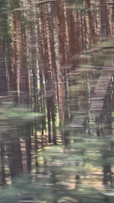 This is an abstract photograph with a strong sense of vertical motion blur. The subjects are a series of horizontal elements that appear to be wooden structures, possibly a fence or weathered planks, interspersed with vertical streaks of green and brown. These vertical lines suggest trees or vegetation, but their blurred appearance makes definitive identification difficult. The overall impression is of looking through a dense, blurry forest or a rustic wooden structure that is moving rapidly.
The activity taking place is implied by the motion blur, suggesting either the camera or the subjects were in motion. This could be from a moving vehicle, or perhaps wind causing the vegetation to sway dramatically.
Notable details include the color palette of muted browns, greens, and occasional highlights of yellow or pale green. The lighting appears to be diffuse, possibly indicating an overcast day or late afternoon light filtering through trees. The location cues are ambiguous due to the abstract nature of the image, but the description of wooden structures and vegetation might suggest a rural or natural setting. No visible text is present in the image. The emotional tone is one of dynamism and perhaps a sense of being overwhelmed by nature or a rapid environment.