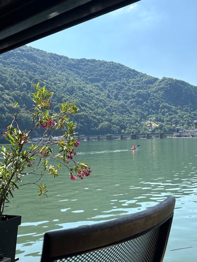 A person is kayaking on a calm, green river. The kayak is orange, and the person is wearing a blue shirt. The river is surrounded by steep, tree-covered mountains. In the foreground, there is a flowering bush with pink blossoms and green leaves. To the right, part of a dark metal chair is visible. The sky is clear and blue, suggesting it is daytime. The scene evokes a sense of tranquility and outdoor recreation.