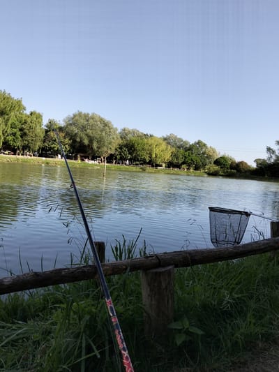 The image depicts a serene lakeside scene in Sant'Andrea del Pizzone, Italy. A fishing rod leans against a weathered wooden fence alongside the water, with a net resting on the same fence, suggesting someone is fishing. The water surface is rippled, reflecting the sky and the trees lining the opposite bank. The environment is lush, with grass and vegetation growing near the fence. The sky is clear and blue, indicative of a peaceful, sunny day. The scene appears tranquil, with no visible people or active movements.