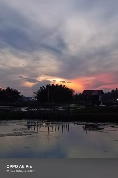 This is a photograph taken at sunset in Rheum Barat, Indonesia. The image features a body of water in the foreground, reflecting the dramatic sky above. Vertical wooden posts are partially submerged in the water, forming a fence-like structure. In the mid-ground, silhouetted palm trees line the horizon, with a small, dark building with a reddish roof situated among them. The sky is filled with a vibrant sunset, displaying hues of orange, pink, and purple, with streaks of grey clouds. The bottom of the image contains text identifying the device as "OPPO A6 Pro" and the date and time as "25 Juni 2026 pukul 06.11".