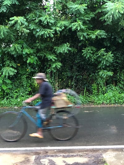 A person wearing a hat and a dark shirt rides a blue bicycle with a load in the back along a wet asphalt road in Kodagoda, Sri Lanka. The person's legs are blurred by motion, and they are wearing yellow flip-flops. The bicycle is carrying a cage-like structure containing a light-colored object. The road is lined with lush green vegetation and trees. The scene appears to be after a rainfall, as indicated by the wetness of the road surface and reflections. The overall impression is one of movement and a natural, tropical environment.