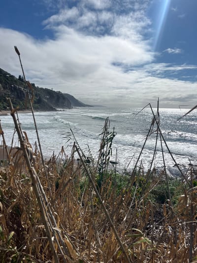 The image depicts a coastal scene in Coalcliff, Australia, viewed from an elevated position. The foreground is filled with dense, predominantly dry, golden-brown reedy vegetation and some interspersed green foliage, partially obscuring the immediate ground. Beyond this vegetation, the Pacific Ocean extends, exhibiting numerous white-capped waves breaking towards a sandy beach located on the left side of the frame. To the left of the beach, a steep, vegetated cliff face rises, with several structures, possibly residential buildings, visible near its summit. A slender pole stands on a distant section of the cliff. The ocean surface on the right side of the frame displays significant sun glare, indicating the sun's position. The sky above is partially cloudy, featuring patches of clear blue with visible sun streaks emanating from the upper right quadrant. No individuals or animals are present.