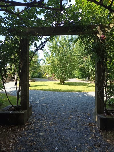 The image shows an arched entryway covered in lush green foliage, looking out onto a sunlit garden. The entryway is constructed from rough-hewn wooden posts and a crossbeam, entwined with climbing vines and rose bushes. The ground in the foreground is covered with dark gray gravel, with scattered brown leaves. Beyond the entryway, a well-maintained lawn stretches towards a cluster of trees. In the middle ground, a low stone wall encloses a circular area, and a water feature is visible behind it. The scene is bathed in bright daylight, casting dappled shadows. There are no people or animals visible in the image. The location is not identifiable as being in Dungloe, Ireland.