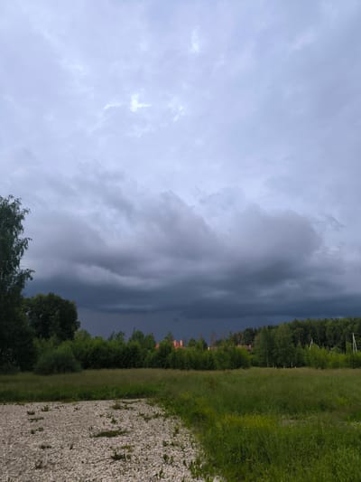 This media file depicts an outdoor scene under a dramatic, overcast sky. The foreground consists of a gravelly patch with scattered green vegetation and a vibrant green grassy field dotted with small yellow flowers. Beyond the field, a dense line of trees forms a dark green natural barrier, punctuated by the tops of buildings with reddish-orange roofs peeking through. To the far right, a tall, thin white pole with electrical insulators is visible, suggesting the presence of power lines.
The sky is filled with heavy, dark clouds, with lighter, more diffused clouds higher up, hinting at an impending storm or the aftermath of rain. The overall atmosphere is somber and somewhat ominous due to the dark clouds and diffused light, suggesting it is likely late afternoon or evening. The location cues, combined with the specific architecture (reddish-orange roofs), are consistent with a rural or suburban setting in Russia, aligning with the provided location context of Svetlye Gory. There are no people or animals visible in the frame, and no text is present.