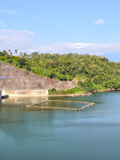 This vertical shot depicts the Sela-Rajan Dam and reservoir in the city of Seririt, Indonesia, under bright daylight. The scene is dominated by a large, stepped concrete dam wall on the left, displaying partially visible blue letters spelling "LARAN." Above the dam, a densely vegetated hillside rises, covered with a variety of green tropical trees, predominantly palm trees and banana plants. The reservoir's calm, greenish-blue water reflects the surrounding landscape and sky. In the foreground and mid-ground of the water, a square-shaped floating structure with yellow railings encloses a section of the water, and an additional segment of a floating walkway or jetty extends towards the right. The upper portion of the image features a clear, light blue sky with scattered white cumulus clouds. No people or animals are explicitly visible.