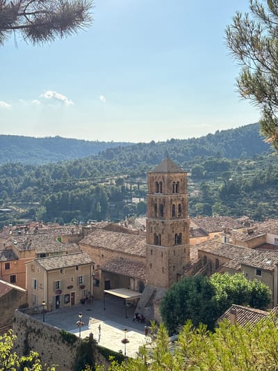 This is an aerial view of Moustiers-Sainte-Marie, France, a picturesque village nestled in the Alpes-de-Haute-Provence department. The scene is dominated by the iconic bell tower of the Notre-Dame de Beauvoir church, which stands tall amidst a cluster of terracotta-tiled roofs. The village is set against a backdrop of lush green hills, dotted with trees and houses, suggesting a rural or semi-rural mountainous setting.
In the foreground, a stone wall encloses a sun-drenched plaza paved with light-colored cobblestones. Several people are visible in the plaza, some walking and others seated outside a building that appears to be a cafe or restaurant, judging by the tables and chairs. Streetlights with hanging flower baskets line the plaza.
The architecture of the village features stone buildings with tile roofs, characteristic of the region. The bell tower itself is a four-tiered structure with arched openings on each level and a pyramidal roof. The surrounding buildings are a mix of residential and commercial spaces, with shops on the ground floor of some.
The sky is clear blue with a few wispy clouds, and sunlight casts shadows, indicating it is daytime, likely mid-morning or afternoon. Pine branches in the upper and lower parts of the frame frame the view, adding a natural element to the man-made landscape. The overall impression is one of tranquility and a preserved historic European village.