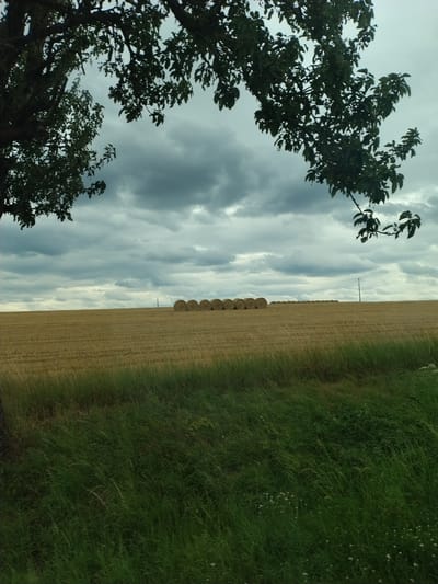 The image depicts a field with many hay bales lined up in the distance under a cloudy sky. The foreground shows a grassy area and the edge of a tree with dark green leaves. The location is identified as Třešně, Czechia. There are no people or animals visible in the image, and no discernible actions or interactions are taking place. The environment is rural and appears to be a farmland setting.