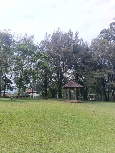 The image depicts an outdoor park or garden area in Tapaiteng Uesa, Bhutan, under an overcast sky. The foreground is dominated by a neatly maintained green grassy lawn, with some sparse brown debris. In the midground, a stone gazebo with a dark, pyramid-shaped tiled roof is centrally positioned. This gazebo features four prominent stone pillars supporting its roof and rests on a light-colored base. To the left and further back, a building with a red roof is partially visible amongst trees. To the right of the main gazebo, a smaller, open-sided structure with a light-colored roof is discernible within the treeline. The background is characterized by a dense row of tall trees, including both broadleaf and coniferous varieties, with foliage ranging from vibrant green to muted brownish-green. No individuals, objects, or specific actions are observed within the frame.