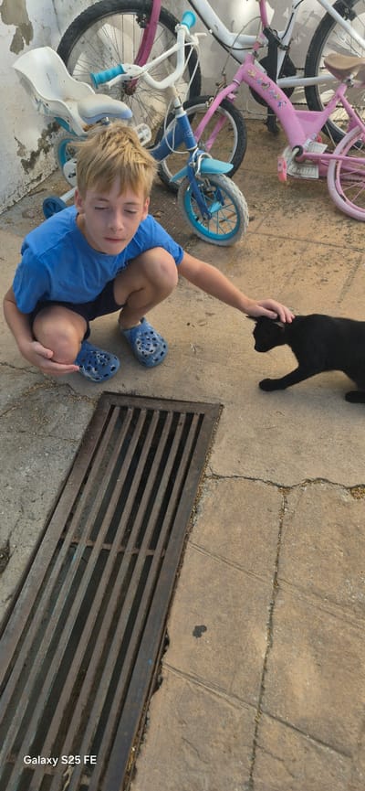 A young boy with blond hair, wearing a blue t-shirt and blue Crocs, is crouching on a concrete surface next to a rusty metal grate. He is petting a black cat with his right hand. In the background, several bicycles are leaning against a white wall. The scene appears to be outdoors, possibly in a courtyard or alleyway. The overall lighting suggests it is daytime. The image includes a watermark that reads "Galaxy S25 FE."