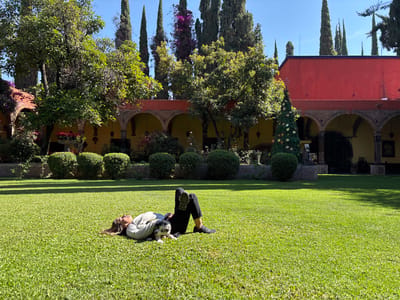 An outdoor scene in San Juan del Río, Mexico, depicts an individual and a small dog resting on a green lawn. An individual, wearing a light-colored long-sleeve top and dark pants, lies on their back on the grass, facing upwards with bent knees. A small, black and white dog rests adjacent to the individual's torso. In the midground, a building with a red upper facade and a yellow lower arched arcade is visible. A conical, decorated Christmas tree stands prominently in front of the arcade on the right. A row of neatly trimmed hedges separates the lawn from the building. The background features numerous tall, slender cypress trees and other green trees under a clear blue sky, with visible shadows indicating a sunny day. The architectural style is consistent with traditional Mexican hacienda or colonial design.