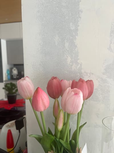 A bouquet of pink tulips is in the foreground, with a plain, textured wall in the background. To the left, a blurred kitchen area is visible, containing cabinets, a coffee machine, and a small potted plant. The image is framed from the perspective of being inside a room. The city of Ceraso, Italy, is not visible or suggested by any elements in the image.
