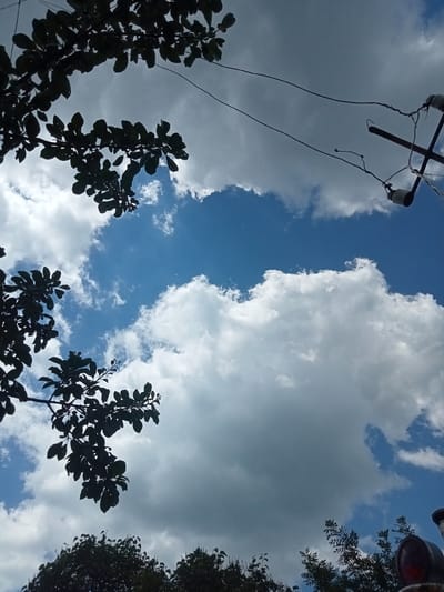 This media file is a vertical, low-angle photograph capturing a bright, cloudy sky with elements of nature and man-made structures. The dominant subjects are the sky, featuring patches of vibrant blue interspersed with large, fluffy white clouds, and the dark silhouettes of tree branches adorned with leaves.

In the upper right portion of the frame, a utility pole with wires and insulators is visible, indicating an outdoor, likely rural or semi-rural setting. The branches in the foreground frame the sky, with some reaching across the top and others hanging down from the left side. The bottom of the image shows the dark silhouettes of more trees, suggesting a canopy of foliage.

The lighting suggests it is daytime, likely late morning or afternoon, given the brightness of the sky and the contrast between the sunlit clouds and the silhouetted leaves. The presence of numerous clouds hints at a dynamic weather system, possibly a partly cloudy or even showery day.

There is no visible text in the image. The overall impression is one of a natural scene juxtaposed with human infrastructure, observed from a low vantage point looking upwards. The mood is serene and airy, dominated by the vastness of the sky and the organic forms of the trees. The location context provided is Stavchyntsi, Ukraine.