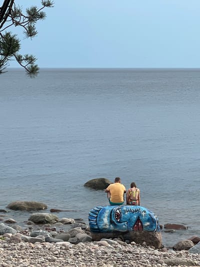 In Luzhki, Russia, two individuals, an adult male and a child, sit on a large, painted rock by the water. The rock is adorned with a blue, cartoonish design of a fish's face with large eyes and a painted cross. The male is wearing a yellow t-shirt and green shorts, while the child is in a bikini. They are facing away from the camera, looking out at a calm, gray body of water under an overcast sky. The shoreline is rocky and scattered with smaller stones. A pine branch is visible in the upper left corner of the frame, extending into the sky.