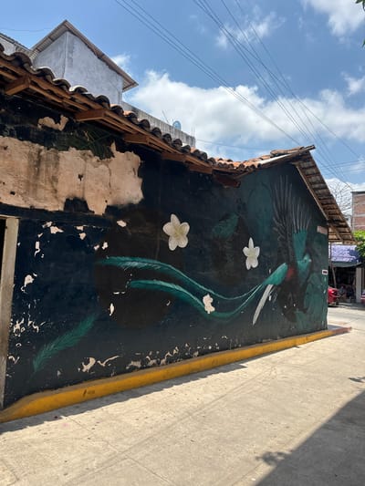 The image, taken in Atoyac de Álvarez, Mexico, displays a vibrant mural on a weathered building wall, angled upwards towards a bright sky. The central subject is a large mural painted on a dark-colored wall, featuring a majestic, Quetzal-like bird with iridescent green and blue plumage, a red chest, and long, flowing tail feathers. The bird is depicted in flight, its wings spread. Two white plumeria-like flowers are also painted on the wall, along with stylized green leaf or feather shapes.
The wall itself shows significant wear and tear, with large areas of paint peeling off, revealing lighter, textured plaster beneath. The top of the wall is capped with traditional terracotta roof tiles supported by wooden beams. Adjacent to the mural is a concrete pavement or street, bordered by a yellow curb or painted line. This pavement is marked with scuffs or tire tracks and strong shadows, suggesting direct sunlight.
The scene is set outdoors on a clear and sunny day, with a blue sky dotted with scattered white clouds visible above the buildings. Utility wires crisscross the sky in the upper left. In the distant background, beyond the main wall, glimpses of other buildings and a narrow street are visible, including what appears to be a red vehicle and indistinct figures, but these details are largely obscured and blurry. Some sparse green foliage is also visible near the roofline of the depicted building.
Faint, light-colored text, possibly a signature or dedication, can be seen on the mural below one of the white flowers, though it is largely illegible due to fading and paint damage. The overall impression is one of local artistry within a well-worn, authentic urban environment.