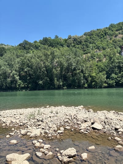 A wide, green river flows in the midground, with a rocky shore in the foreground. A densely forested hill rises behind the river, its slopes covered in lush green trees. The sky above is clear and blue. There is a single white bird visible on the water in the midground. The scene is likely Zvornik, Bosnia and Herzegovina, known for its natural beauty along the Drina River.