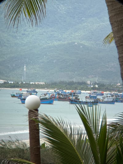 This is a medium-shot, eye-level, wide-angle photograph captured in Dong Ninh Hoa, Vietnam. The foreground is dominated by the trunk of a palm tree with a white, spherical object on top, and two large palm fronds in the lower right and upper left corners, obscuring parts of the background.
The mid-ground features a body of water with numerous fishing boats of varying sizes and colors. Most of the boats are blue and red, with some white and green accents. They are anchored or moving slowly in the water. A few boats have flags, including one red flag with a yellow star, likely the Vietnamese flag. The water appears calm with small waves.
The background consists of a coastline with a strip of green vegetation, including trees, followed by buildings and a tall, lattice-like structure that resembles a communication tower. Behind the coastline, a large, lush green mountain slopes upwards, its peak shrouded in mist or clouds. The sky is overcast, contributing to the diffused lighting of the scene. There are no people visible in the image.