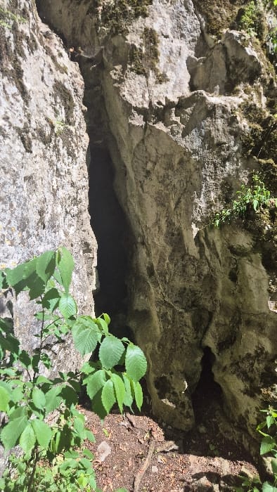 A dark, rectangular cave entrance sits amidst rugged, light-gray rocks covered with patches of moss and green foliage. A scattering of brown soil and plants are visible on the right edge. The low angle gives the impression of peering into a shadowy abyss. The textures range from smooth stone to rough moss and delicate leaves.