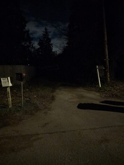 A dimly lit road winds through a dark, wooded area. Mailboxes flank the road's edge, one labeled with numbers, while trees silhouette against a clouded sky. Shadows fall across the road, hinting at an unseen presence. The scene exudes a sense of isolation and mystery.