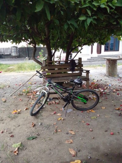 The image depicts an outdoor scene under a leafy tree, likely in Bireuenmeunasahreuleut, Indonesia. A bicycle with a black frame and green accents is leaning against a rustic wooden bench. The ground is covered with dirt, fallen leaves, and small red fruits. Behind the bench, a building with white walls and dark-framed windows is visible. A cylindrical concrete object, possibly a barrel, stands to the right of the bench. A long wooden pole rests on the ground near the bicycle. The overall impression is one of a quiet, slightly untidy outdoor space.