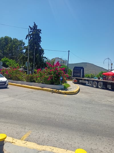 The image depicts a street scene in Chalkida, Greece, on a clear, sunny day. In the foreground, a grey asphalt road is visible with yellow painted curbs and markings. A white car with the license plate "AYP 3575" is parked on the left side of the road. Behind the car, a well-maintained flower bed with vibrant pink flowers runs along a white concrete barrier. Further back, trees and buildings can be seen. On the right side of the image, a large black flatbed truck with "VOLVO" written on it is driving on the road. In the background, a hill covered in green vegetation rises against the clear blue sky. A red umbrella is visible next to the truck, suggesting a commercial area or a market stall. The overall impression is a bright and bustling urban environment in Greece.