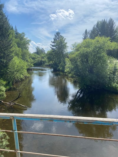 The image shows a calm river flowing through a forested area. The riverbanks are lined with lush green trees, some of which are deciduous and others appear to be coniferous. The water is clear and reflects the blue sky with scattered white clouds, as well as the surrounding greenery. A weathered wooden bridge railing with blue metal posts and rusty metal bars is visible in the foreground, suggesting this is a view from a bridge over the river. On the left bank, a fallen tree branch rests in the shallow water. The scene is bathed in natural daylight, creating a serene and natural ambiance. The location is identified as the city of Bolshoy Lug, Russia.