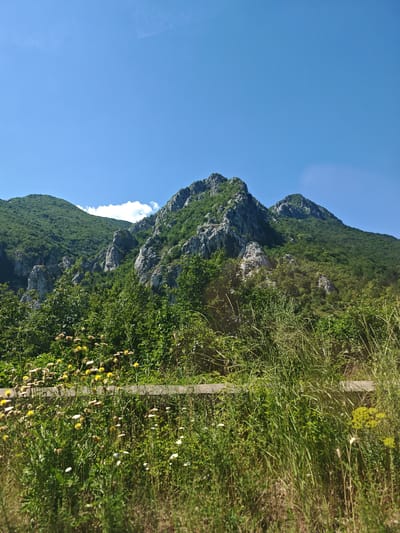 The image shows a mountain landscape in the vicinity of Lyutibrod, Bulgaria. In the foreground, there is dense green vegetation with various wildflowers, including yellow and white blossoms, and tall grasses. A low concrete barrier or edge runs horizontally across the mid-ground, separating the foreground from the background. Behind the vegetation and barrier, steep, rocky mountains rise, covered in lush green trees. The sky is a clear, bright blue with a few wispy clouds visible. The overall scene depicts a natural, mountainous environment on a sunny day.