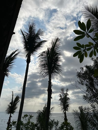 The image depicts a view of the ocean and sky with silhouetted palm trees in the foreground, likely taken in Senggigi, Indonesia. The sky is filled with dramatic, textured clouds, with patches of blue sky visible and rays of sunlight breaking through. The ocean is calm and reflects the light from the sky. Several palm trees of varying heights are silhouetted against the sky. On the right side of the image, some green foliage from other trees is also visible. A dark, textured object, possibly a thatched roof or wall, is in the upper left corner, framing the scene. The overall impression is one of a tropical landscape under a dynamic sky.