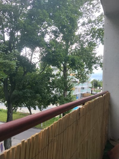 The image shows a view from a balcony overlooking a street and a modern apartment building. Lush green trees are prominent in the foreground, partially obscuring the view of the building and its balconies. A brown railing and a woven reed fence are visible along the edge of the balcony. The street below has parked cars and a blue sign with a white 'P' indicating parking. The apartment building is white with colorful accents on the balconies. In the background, more trees and buildings are visible under a cloudy sky. The scene suggests a residential urban environment in Dąbrowa Górnicza, Poland.