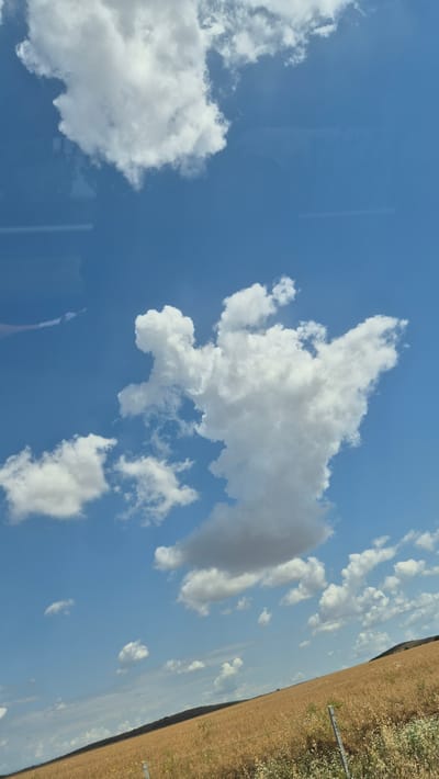 A low-angle, vertical, full shot captures a bright blue sky filled with scattered white cumulus clouds. The largest and most prominent cloud in the center of the frame has a unique shape that resembles a figure with outstretched arms and a head. Below the sky, a vast field of dry, golden-brown crops stretches diagonally from the bottom left to the bottom right of the image. A dark, tree-covered hill or ridge forms the distant horizon on the right side of the frame. A partial view of a wooden fence post is visible in the lower right corner. The scene is likely outdoors on a sunny day, suggesting a rural or agricultural setting. The location of Zheleznik, Bulgaria, is not visually represented in the image.