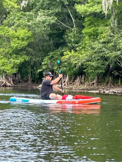 The image, rotated 90 degrees clockwise, captures a person paddleboarding on a tranquil body of water, likely a river or lake. The background is dominated by lush green foliage and visible exposed tree roots along the water's edge, suggesting a natural, possibly subtropical, environment.
The sole subject is an individual, appearing to be a male, dressed in a dark t-shirt, dark shorts, a cap, and sunglasses. He is positioned on an inflatable stand-up paddleboard (SUP), adopting a kneeling or low-sitting stance. Both hands are grasping a paddle, with the blade submerged in the water, indicating active paddling. A red life vest or buoyancy aid is visible on the board behind the person. The paddleboard itself features a white base with prominent bright orange/red sections and a light blue design towards the front.
The scene takes place during the daytime, under bright and clear conditions, as evidenced by the sparkling light reflections on the water's surface. The water is calm, offering a slight reflection of the surrounding trees and sky. The overall atmosphere is one of peaceful outdoor activity. No clearly legible text is discernible on the paddleboard or paddle. Given the location context, this activity is set in or around Tampa, United States.