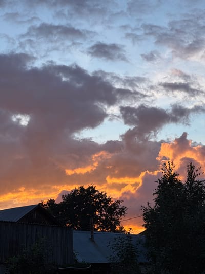 The image depicts a dusky sky filled with dramatic clouds. The upper portion of the sky transitions from a pale blue to darker gray clouds. The lower portion is dominated by vibrant orange and yellow hues illuminating the undersides of the clouds, suggesting a sunset. Silhouetted against this colorful sky are the dark shapes of trees and rooftops of several buildings. The buildings appear to be simple structures, possibly houses or outbuildings, with corrugated metal roofs. One building in the foreground has a weathered wooden facade. The overall impression is of a rural or suburban setting in the late evening, likely in or around Белоус, Russia, given the context. No people are visible in the image. The environment is characterized by the natural elements of the sky and trees, contrasted with man-made structures.