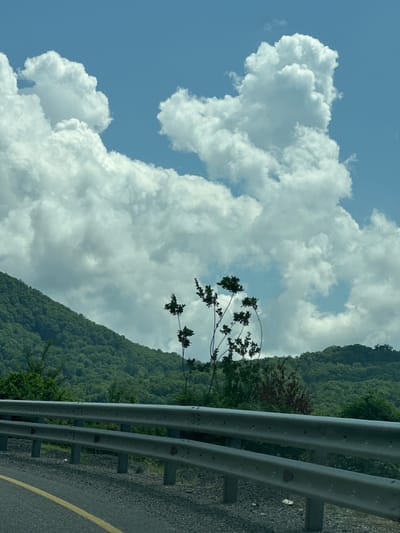 The image captures a scenic view from a roadside in Dederkoi, Russia. In the foreground, a section of asphalt road with a yellow line is visible, bordered by a metal guardrail. Beyond the guardrail, the landscape transitions to a rocky and gravelly area with sparse vegetation. Further in the background, a lush, green, tree-covered mountainside slopes upwards. The sky is predominantly blue, with large, puffy white cumulus clouds dominating the upper portion of the frame. A single, slender tree with dark leaves stands in silhouette against the sky and the mountainside, adding a vertical element to the composition. The lighting suggests it is daytime, likely a sunny or partly cloudy day. There are no people or animals visible in the image.